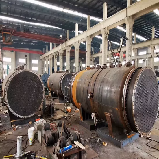 Model Stainless Steel (SS304 316) , Titanium Shell and U Tube Bundle Price